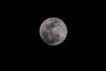 4月8日将出现今年第二次超级月亮