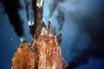 生命起源在哪里？Science 研究告诉你，在海底