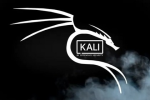 在Kali Linux 2020系统中安装、配置和使用cuckoo沙箱