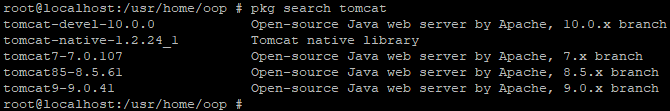 searchtomcat.png